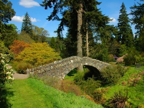 Dawyk Botanic Gardens & Peebles  (Includes High Tea)